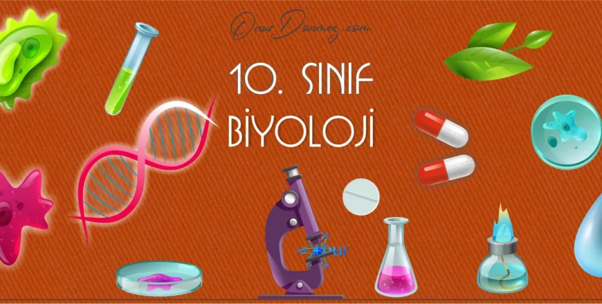 Biyoloji 10