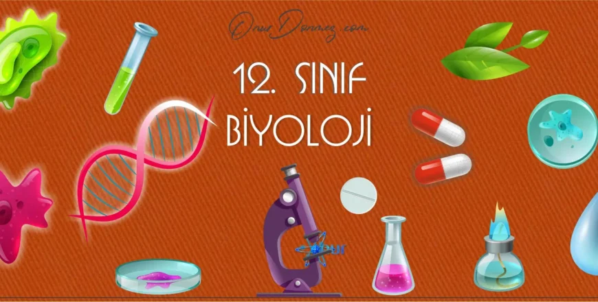 Biyoloji 12