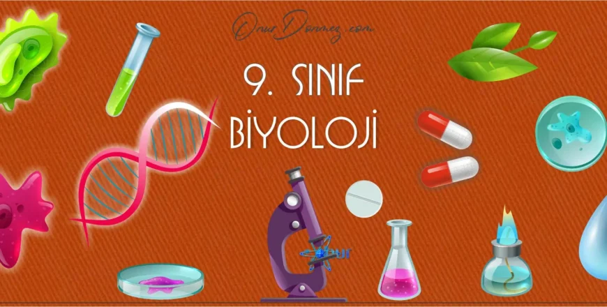 Biyoloji 9