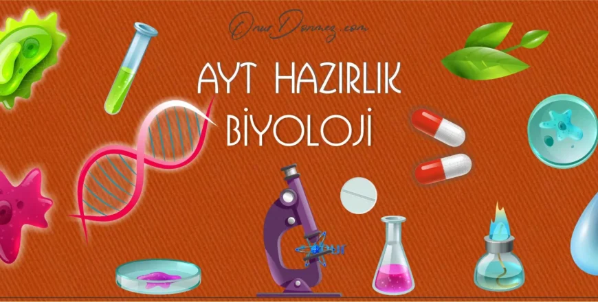 Biyoloji AYT