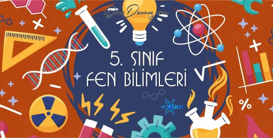 Fen 5