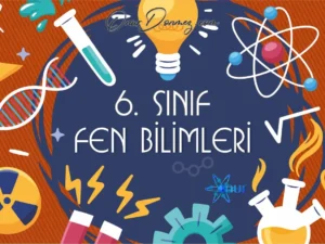 Fen 6